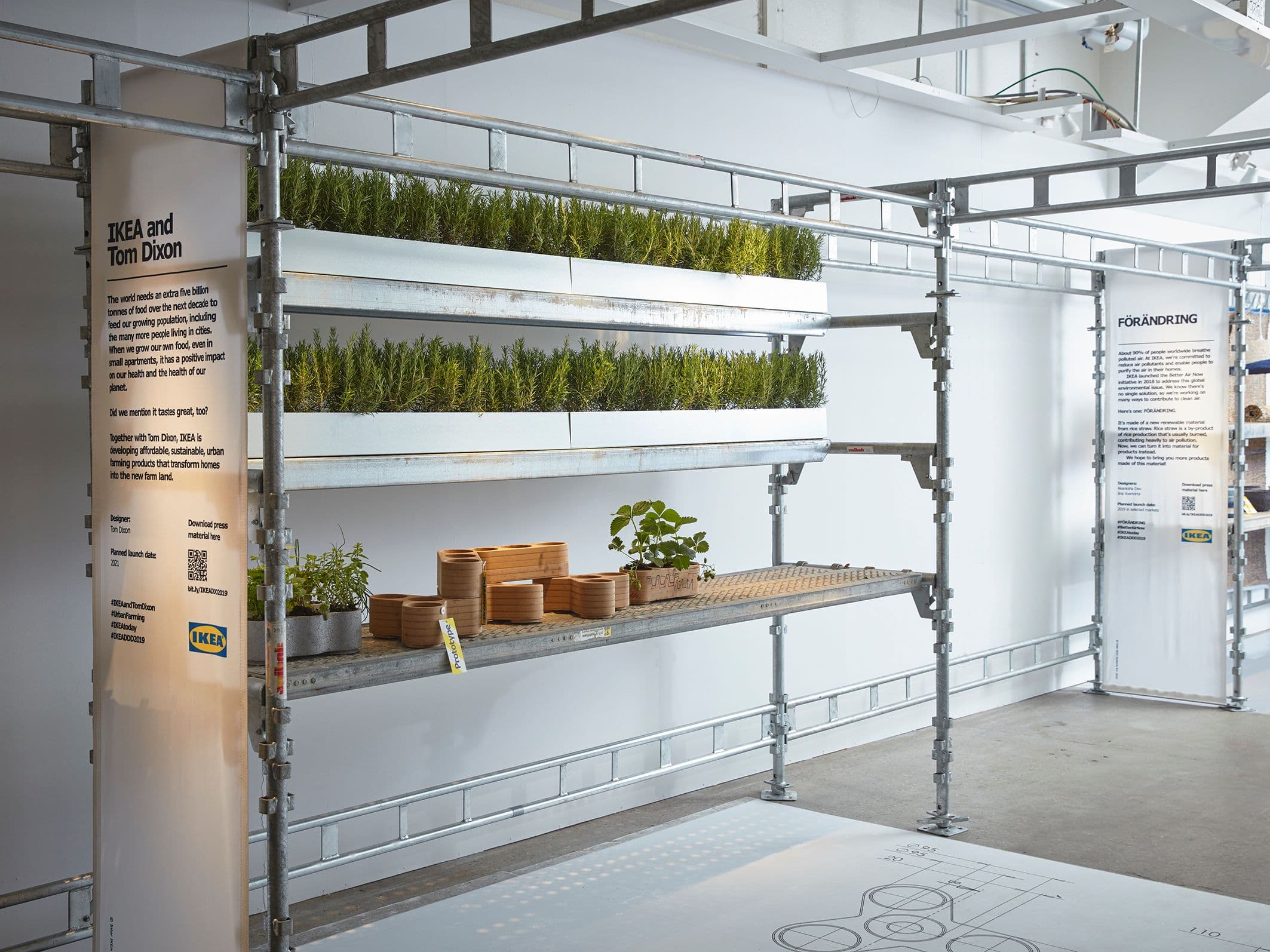 Gardening will Save the World